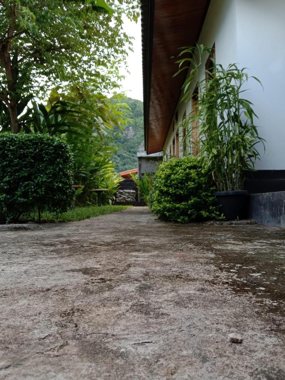 Meexok Guesthouse Nong Khiaw Bagian luar foto